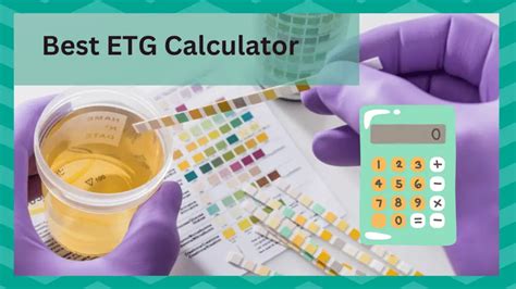 Ethanol is present in many products that people use daily. . Etg calculator accuracy